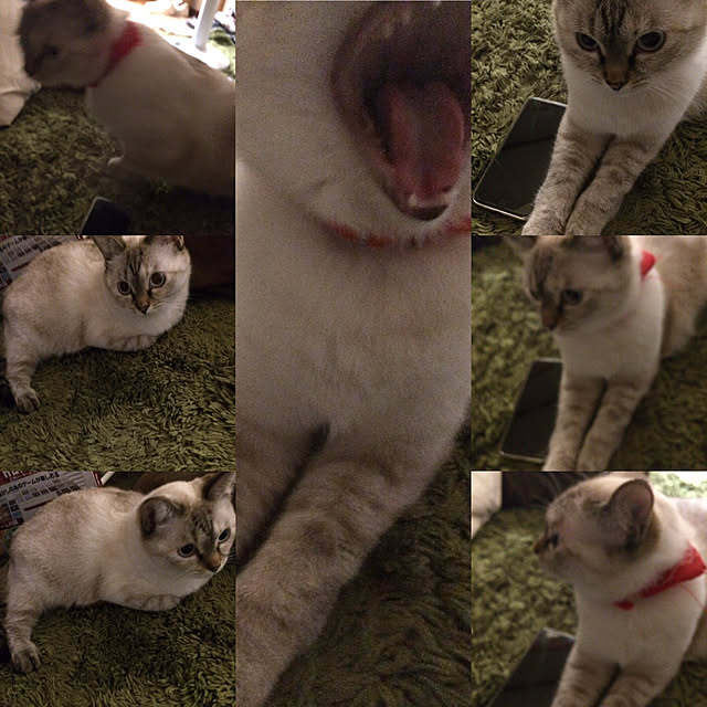 nachuさんの実例写真