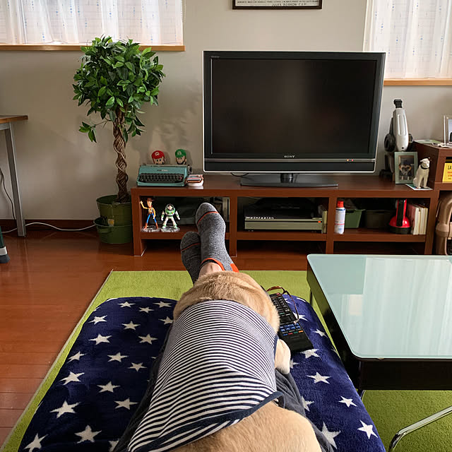 kellyさんの実例写真