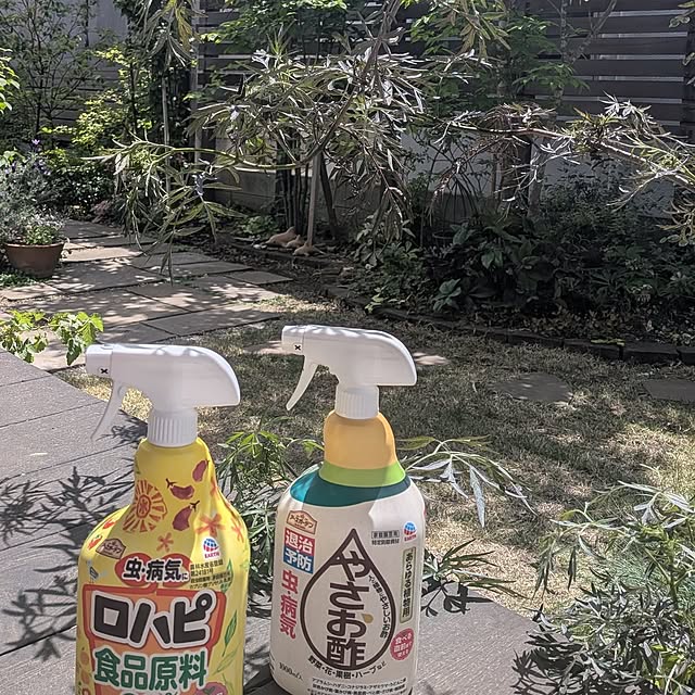 nolleyさんの実例写真