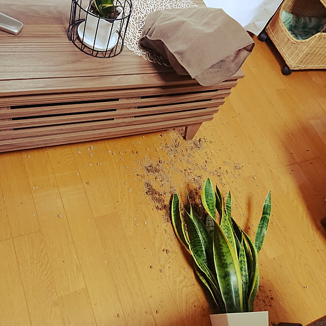 nachiさんの実例写真