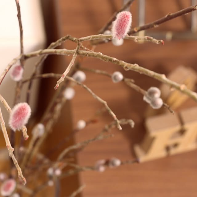 pomheroさんの実例写真