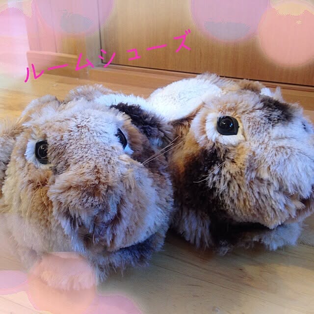 Yumiさんの実例写真