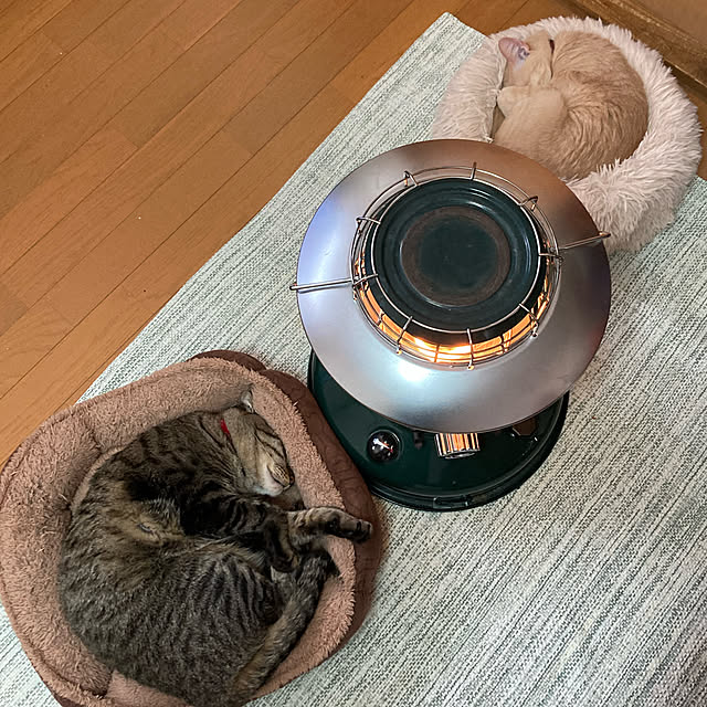 mikan161さんの実例写真