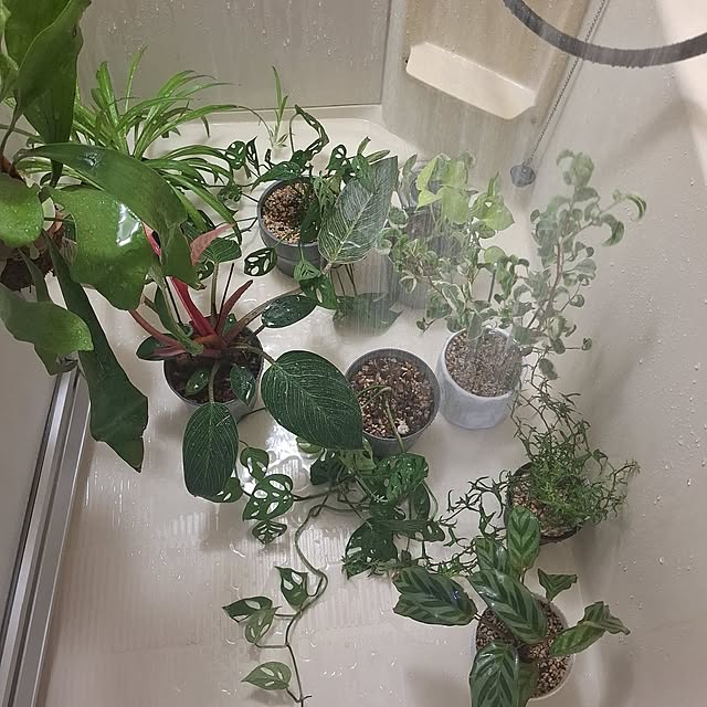 noaさんの部屋