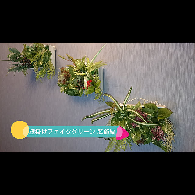 TOMOさんの実例写真