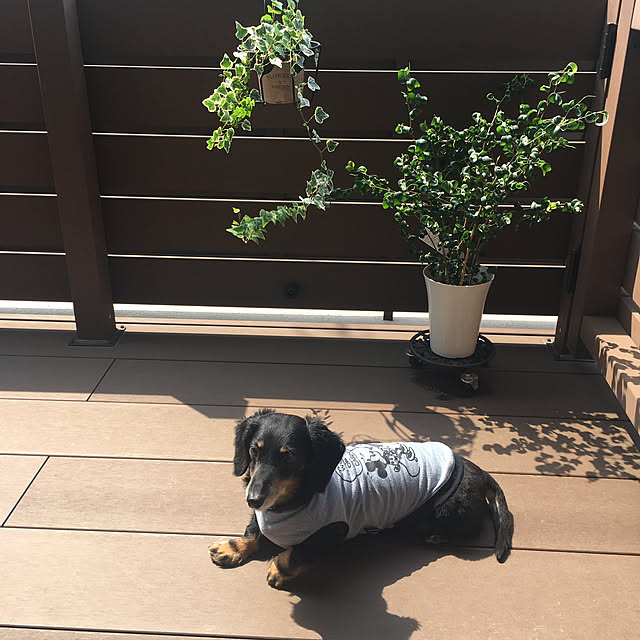 youmitsuさんの実例写真