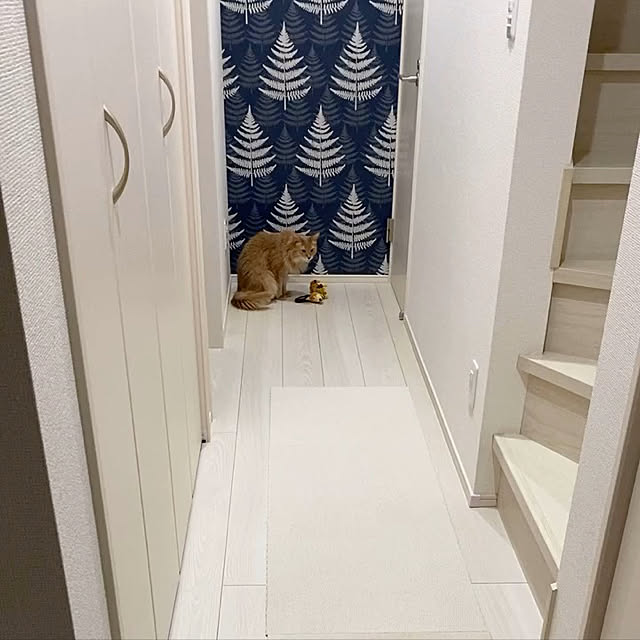 mofucatさんの実例写真