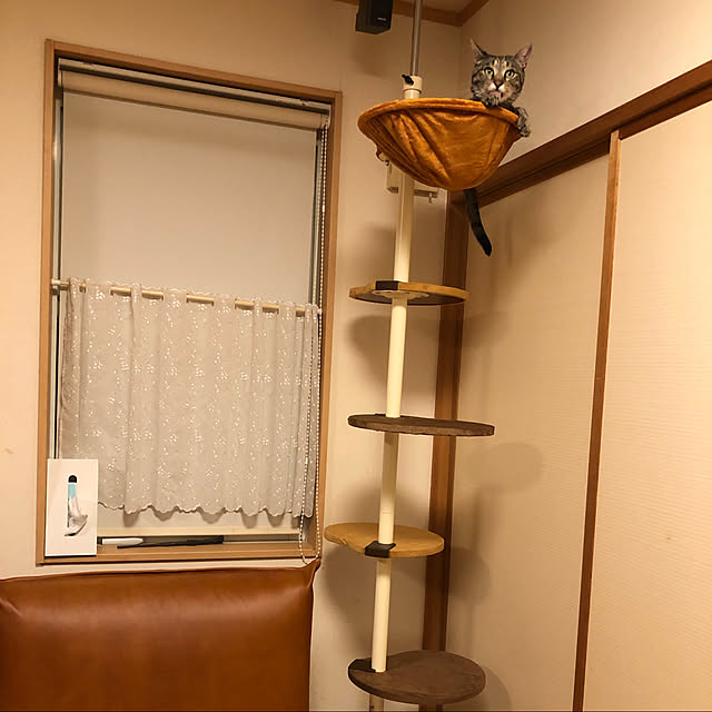 Nikitaさんの実例写真