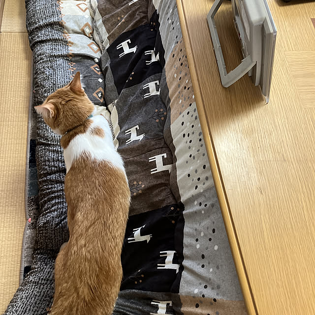 uutann320mozukuさんの実例写真