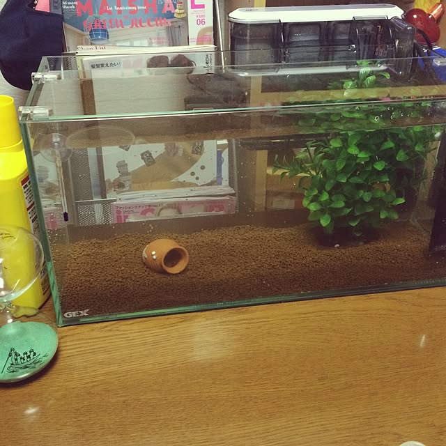 manaoさんの実例写真