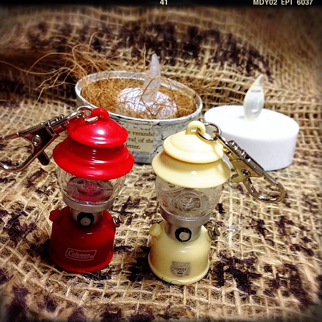 cocoaさんの実例写真