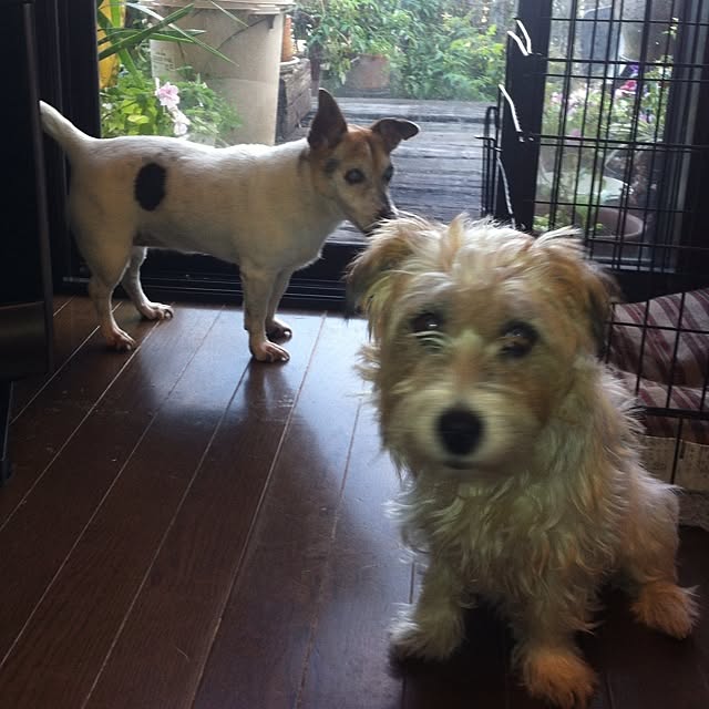 n.kankichanさんの実例写真