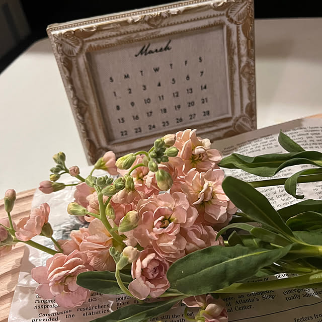 rikuerinka86さんの部屋