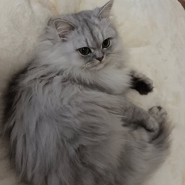kumaさんの実例写真