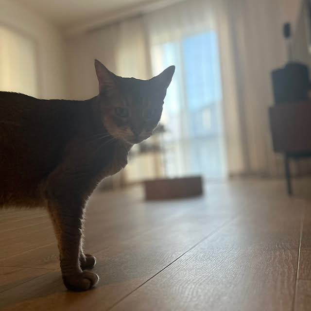 lucianoさんの部屋