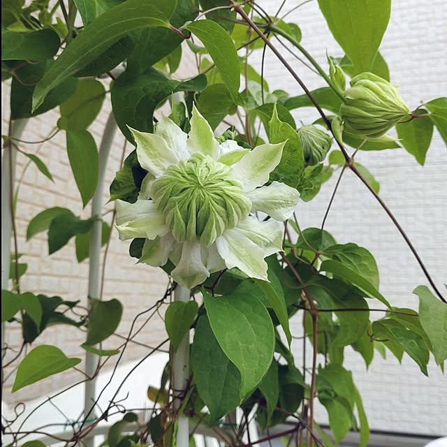 Bienvenueさんの実例写真