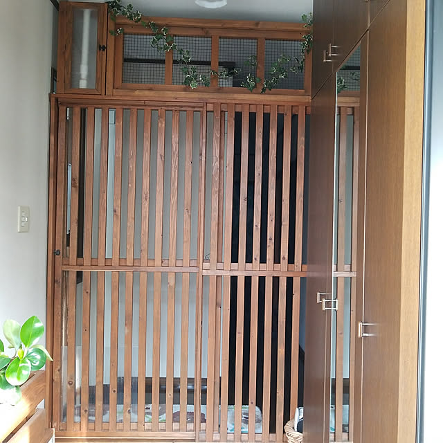 玄関/入り口/猫のインテリア実例 - 2018-01-27 17:54:24