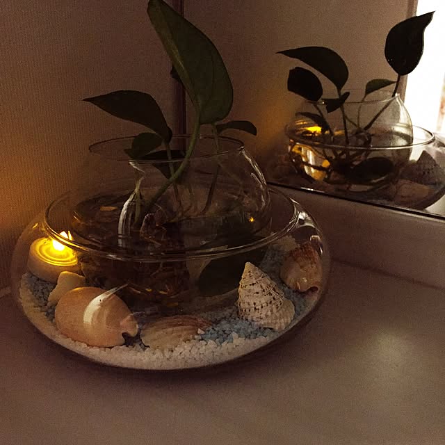 doskoiさんの実例写真