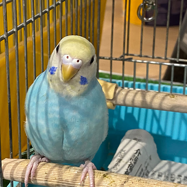 ohanaさんの部屋