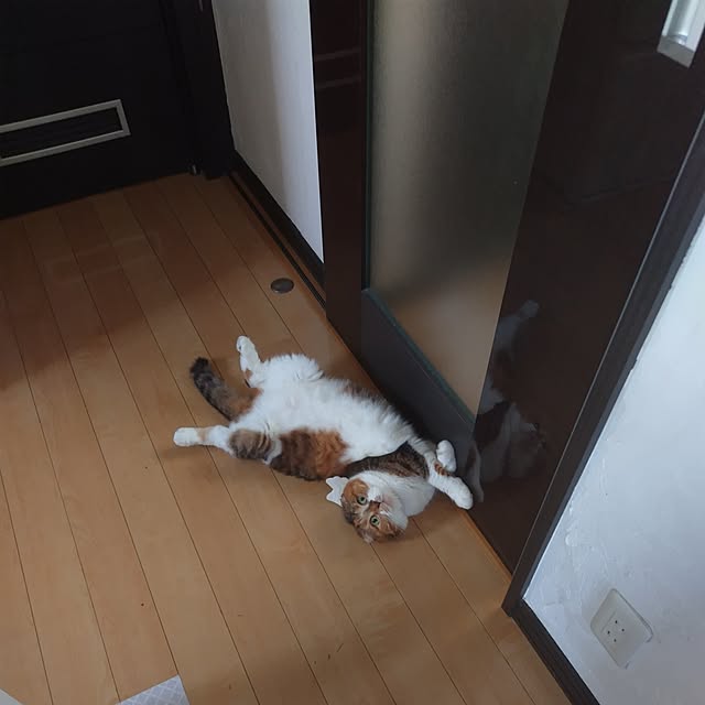 hiro3さんの部屋