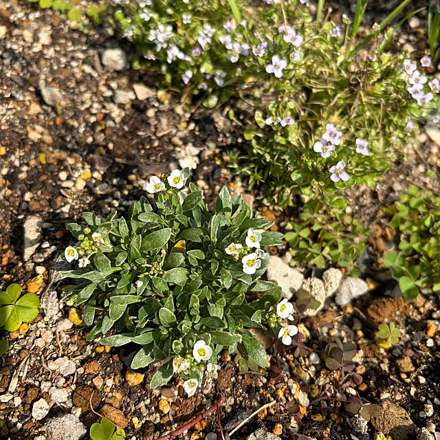 ritsukoさんの部屋