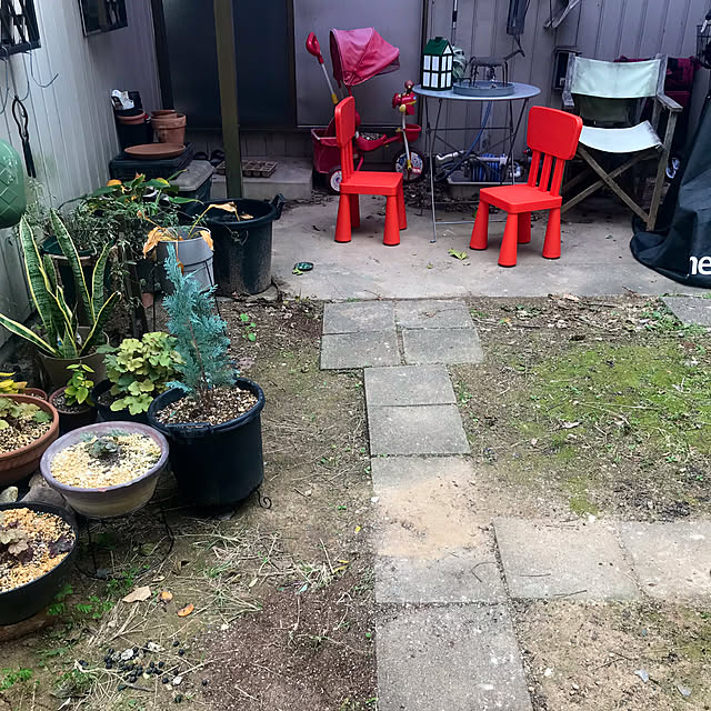 Sakkoさんの部屋