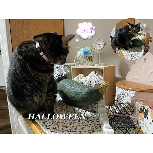momocchiさんの実例写真