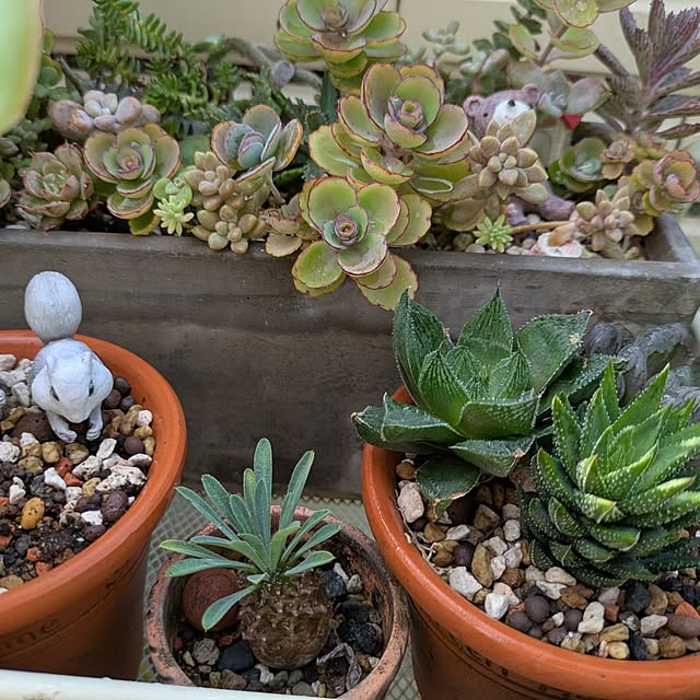 wumag418さんの実例写真