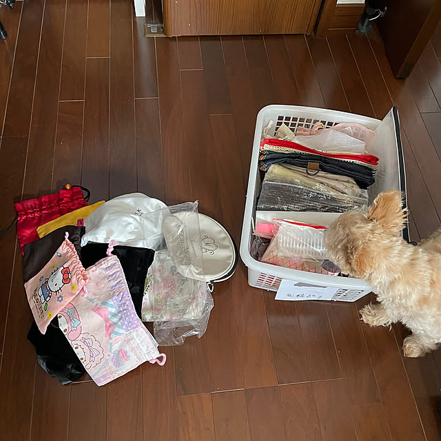 kikiさんの部屋