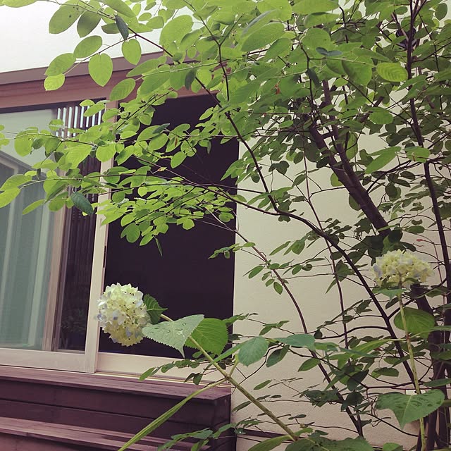 86yuki39さんの実例写真