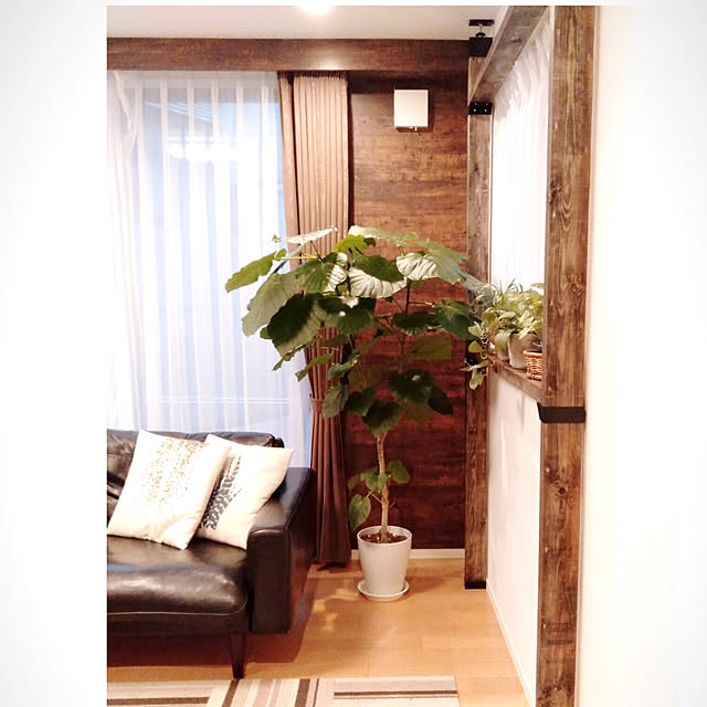 kodaminさんの実例写真