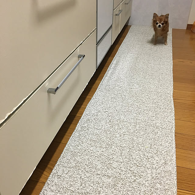 koroさんの実例写真