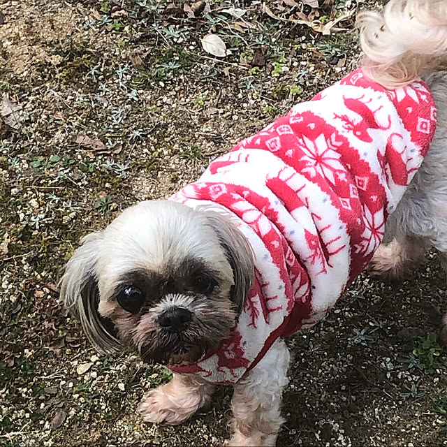 COCOさんの実例写真