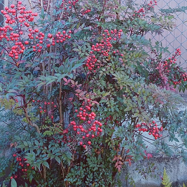 hiro.904さんの部屋