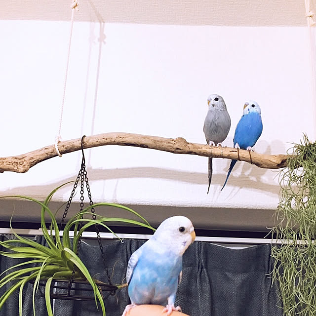 Franさんの実例写真