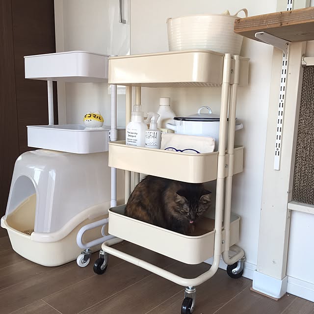 mikomaruさんの実例写真