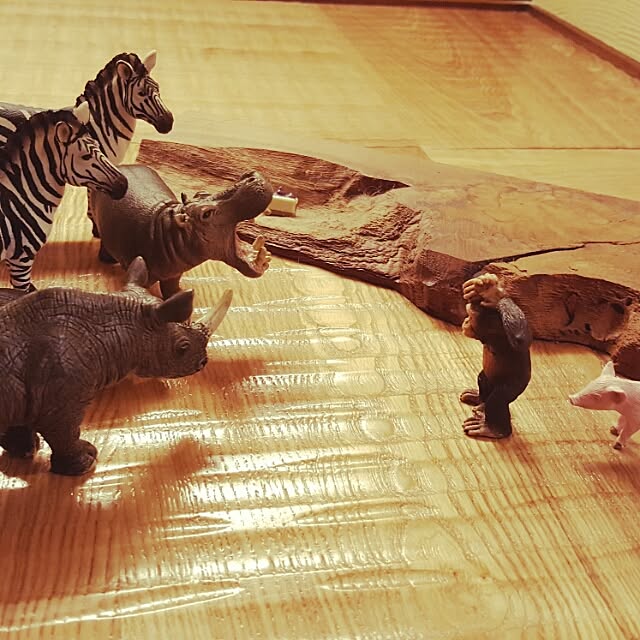 sa1130chiさんの実例写真