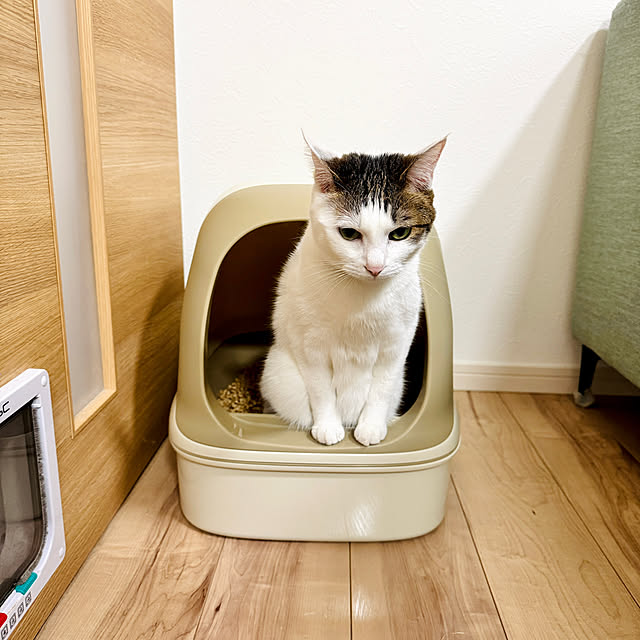 miiさんの部屋