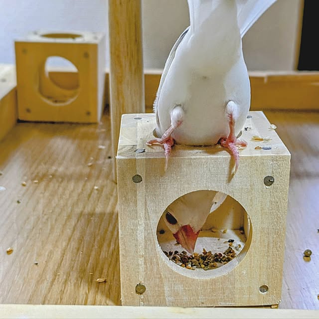 escargotさんの実例写真