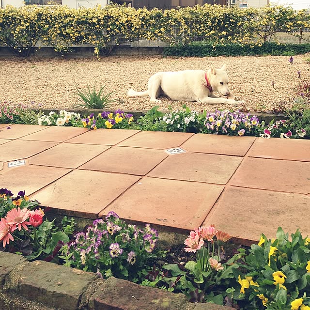 meさんの実例写真