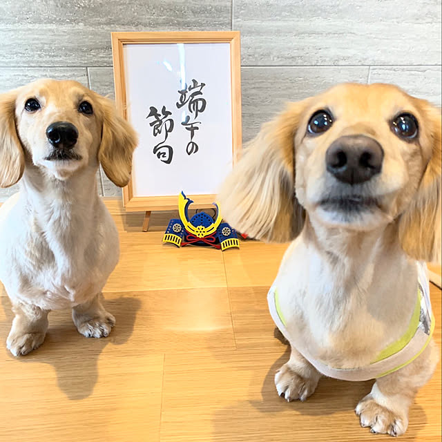 ponponcooさんの実例写真
