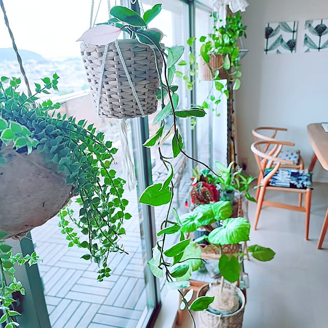 eさんの部屋