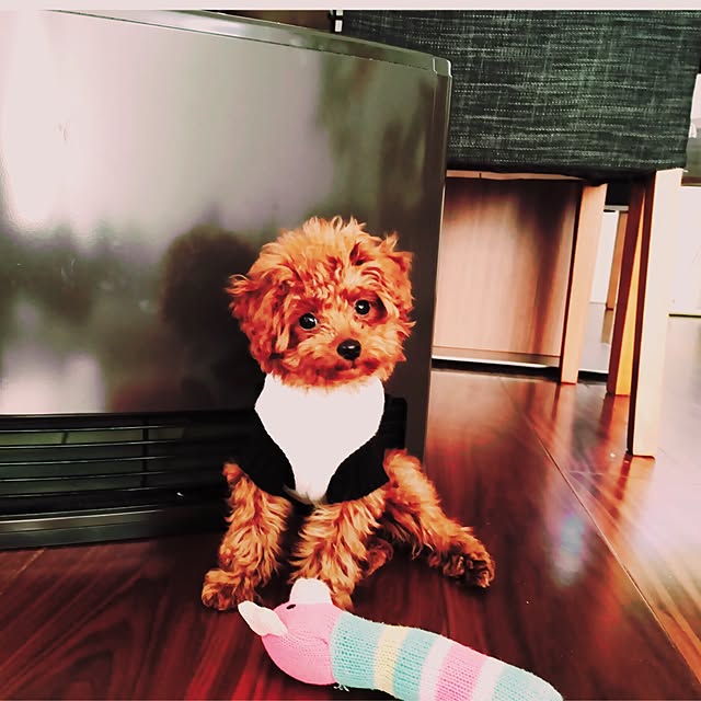sakiさんの実例写真