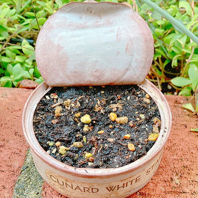 Hanakaさんの部屋