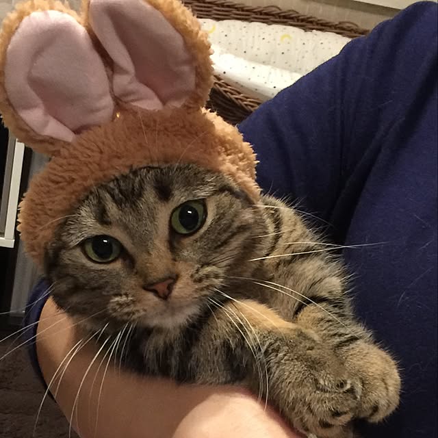 neuruさんの実例写真