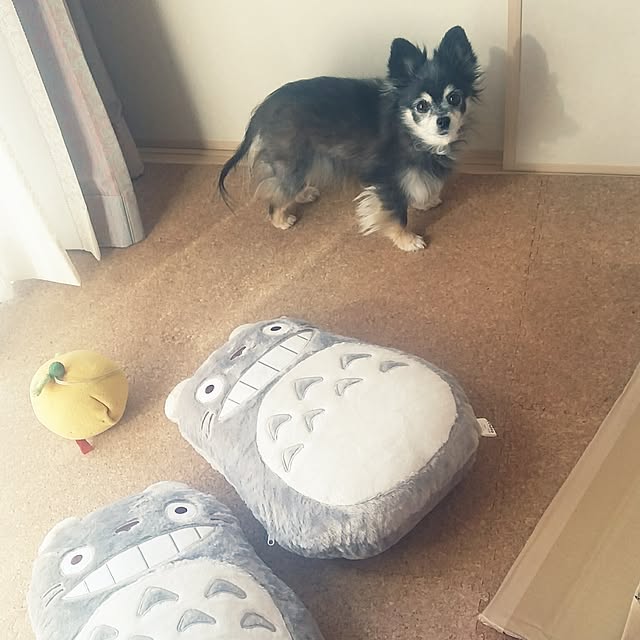 nia1213さんの実例写真