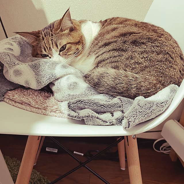 tiroさんの実例写真