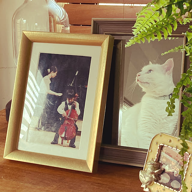 catsmamさんの実例写真