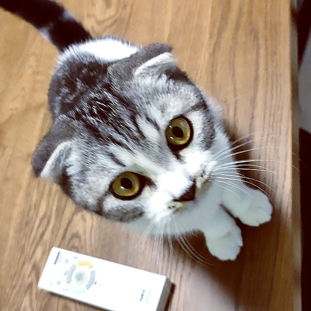 Karinさんの実例写真