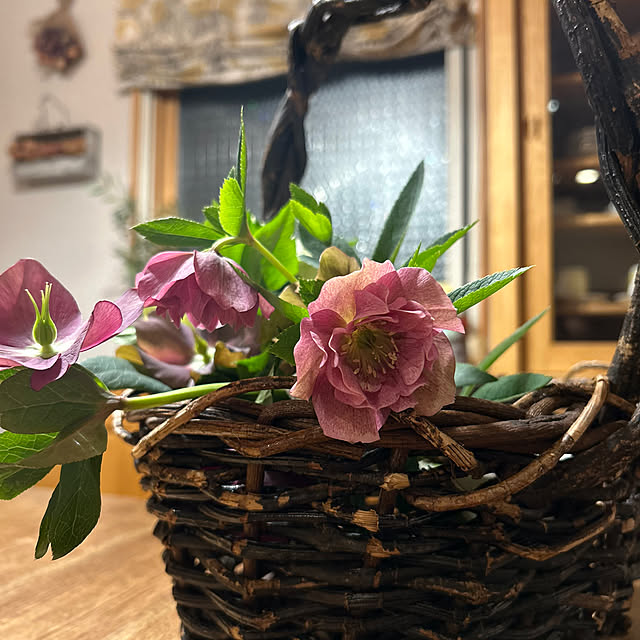 botanさんの部屋